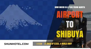 Narita to Shibuya: Taxi Fare and Travel Guide