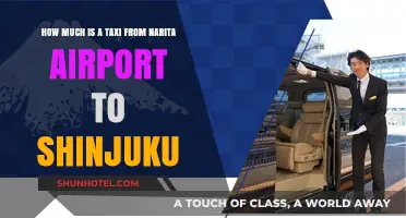 Narita to Shinjuku: Taxi Fare and Travel Guide