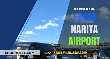Exploring Tokyo: Taxi Fare Guide from Narita Airport