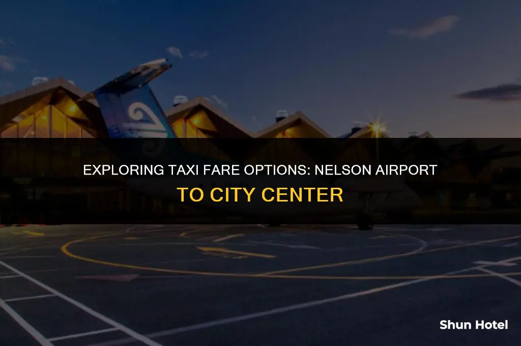 how much is a taxi from nelson airport to city