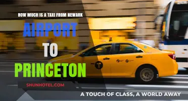 Exploring Taxi Fare Options: Newark Airport to Princeton