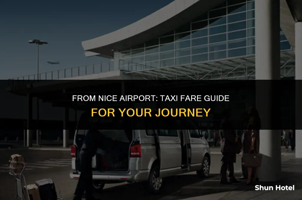 how much is a taxi from nice airport