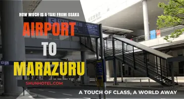Exploring Taxi Fare Options: Osaka Airport to Marazuru