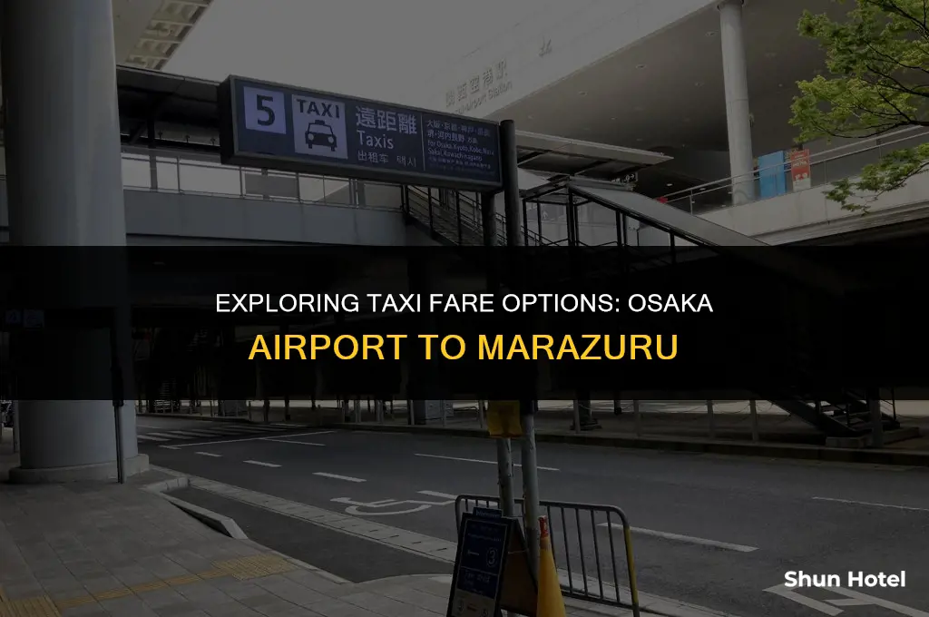 how much is a taxi from osaka airport to marazuru