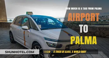 Palma Airport to City Center: Taxi Fare Guide