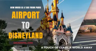 Paris Airport to Disneyland: Taxi Fare Guide