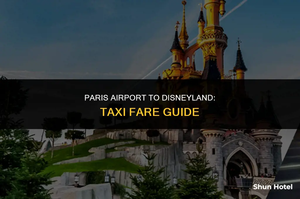 how much is a taxi from paris airport to disneyland