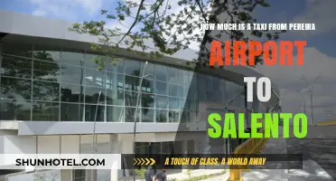 Pereira Airport to Salento: Taxi Fare Guide for Travelers