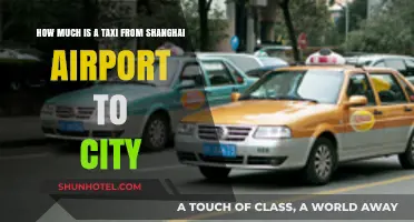 Shanghai Airport to City: Taxi Fare Guide