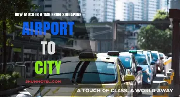 Singapore Airport Taxi Fare: City Travel Cost Guide