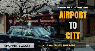 Tokyo Taxi Tales: Airport to City Fare Breakdown