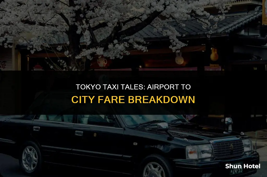 how much is a taxi from tokyo airport to city
