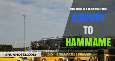 Tunis Airport to Hammamet: Taxi Fare Guide for Travelers
