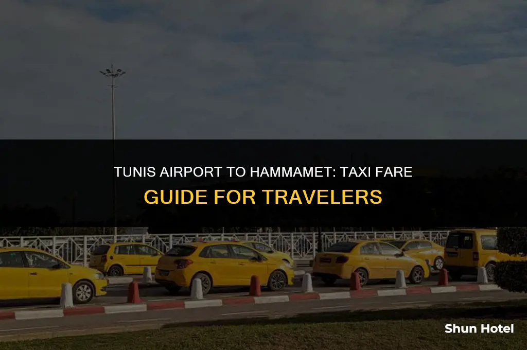 how much is a taxi from tunis airport to hammamet