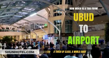 Bali Travel Guide: Taxi Fare from Ubud to the Airport