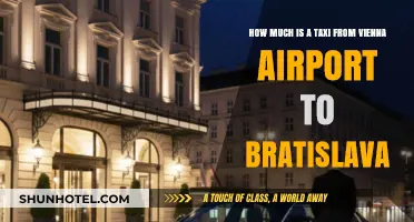 Vienna Airport to Bratislava: Taxi Fare Guide