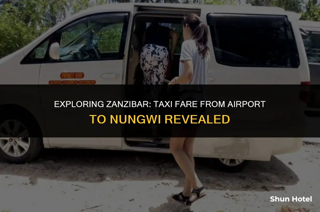 how much is a taxi from zanzibar airport to nungwi