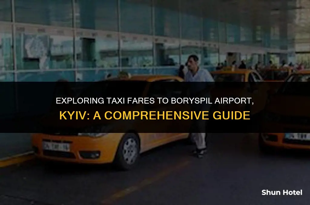 how much is a taxi to bolispol airport kiev