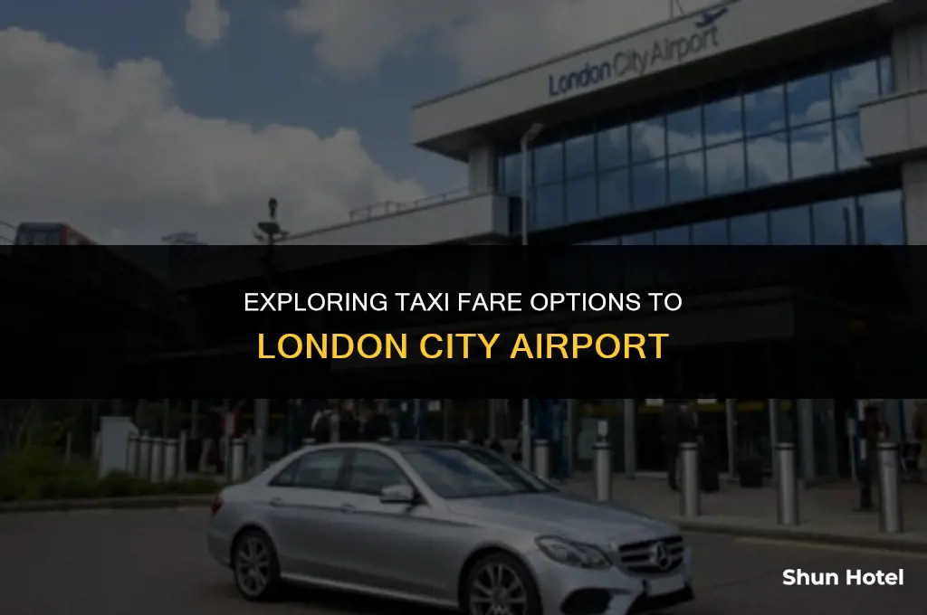 how much is a taxi to london city airport