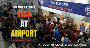 Obtaining a Turkish Visa at the Airport: Costs and Procedures