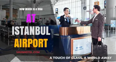 Navigating Istanbul Airport: Visa Costs and Essential Travel Tips
