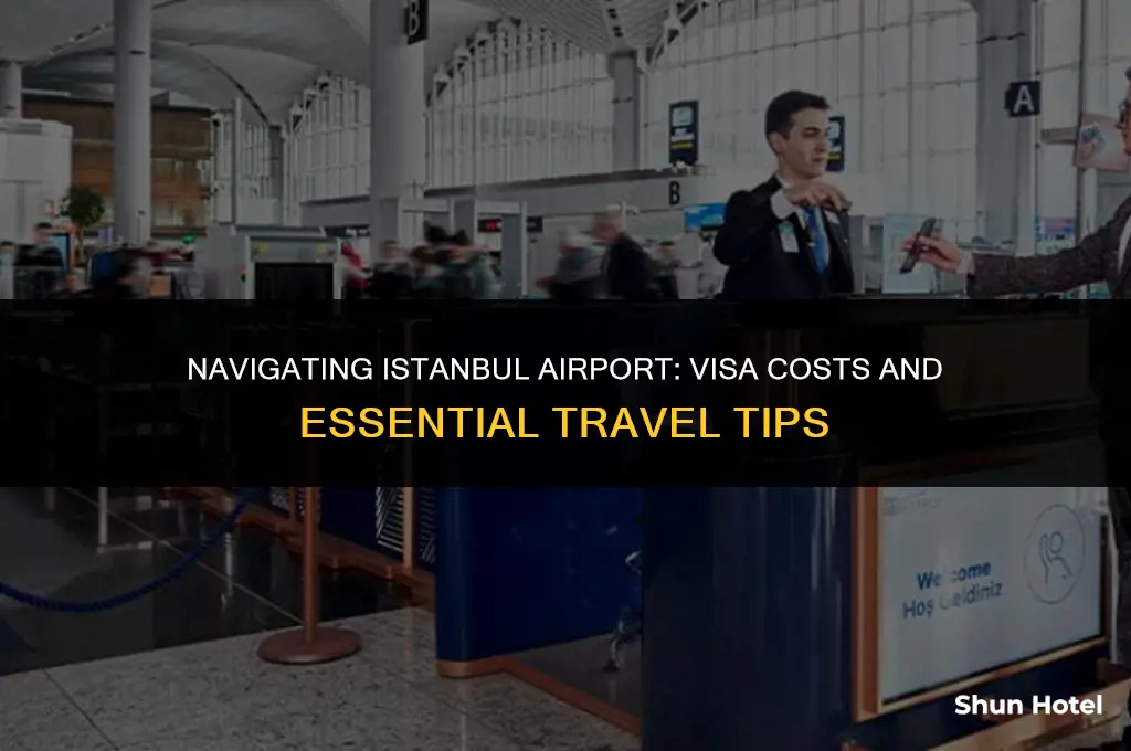 how much is a visa at istanbul airport