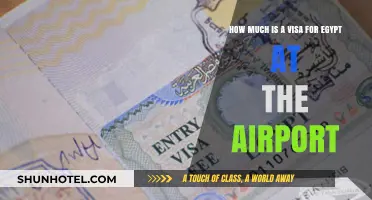 Egypt Airport Visa: Costs and Requirements for Travelers