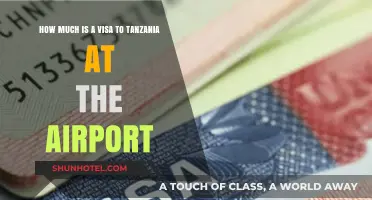 Tanzania Airport Visa: Costs and Requirements for Travelers