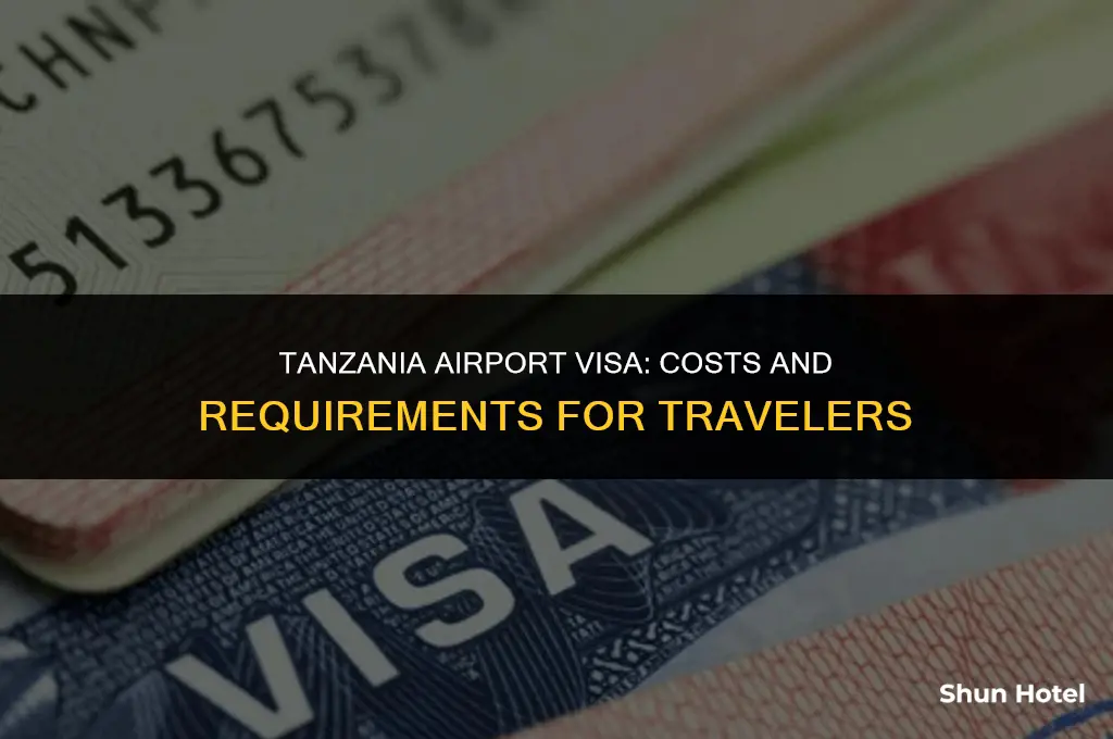 how much is a visa to tanzania at the airport