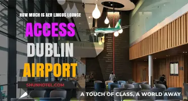 Exploring Aer Lingus Lounge Access at Dublin Airport: Costs and Benefits