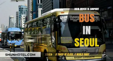 Exploring Seoul: A Guide to Airport Bus Fares and Services