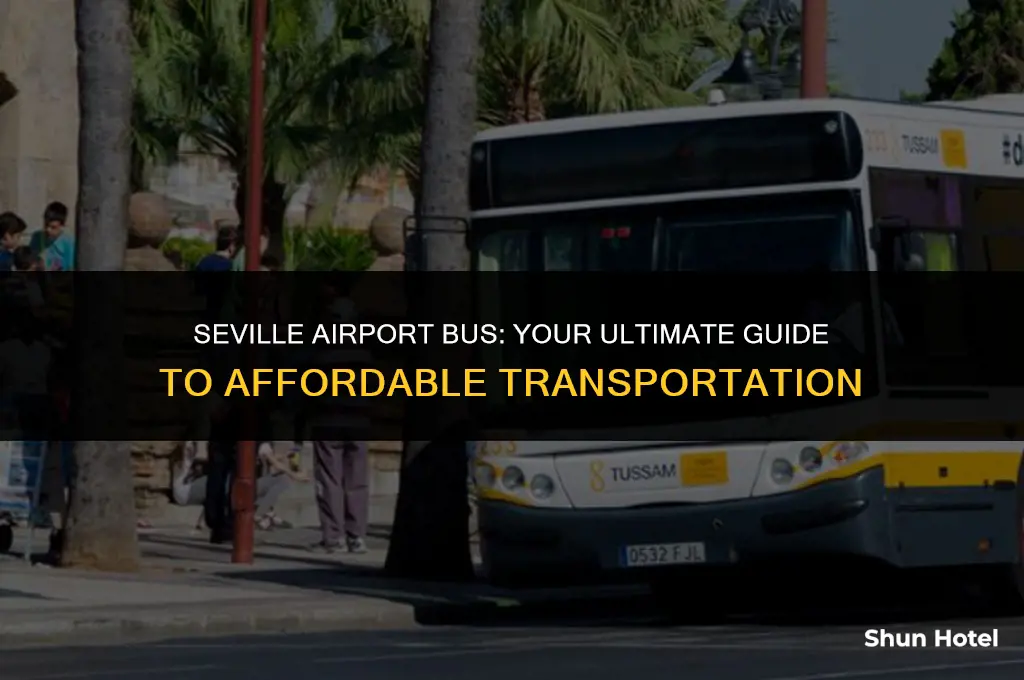 how much is airport bus in seville