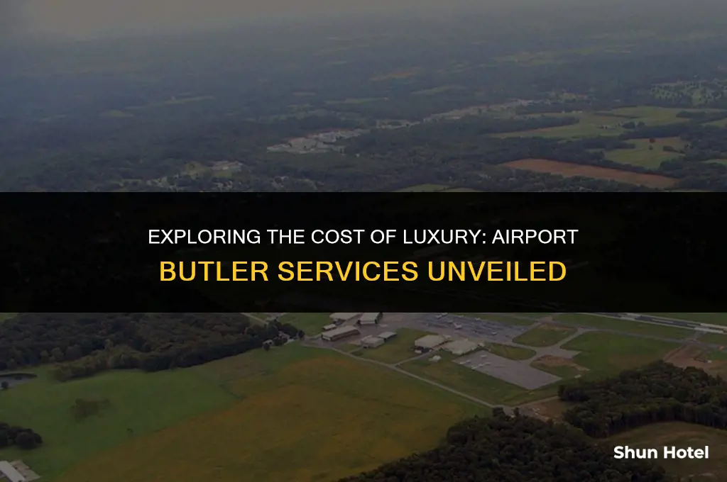 how much is airport butler