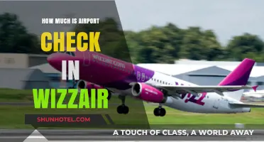 Wizz Air Check-In Costs: A Comprehensive Guide for Travelers
