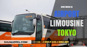 Exploring Tokyo in Style: Airport Limousine Services and Their Costs