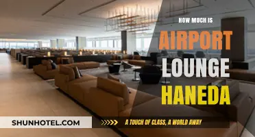 Exploring Haneda Airport Lounge: Costs and Comforts Revealed