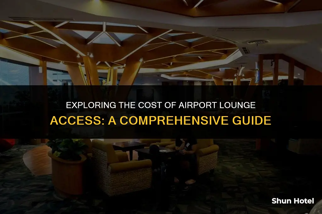 how much is airport lounge