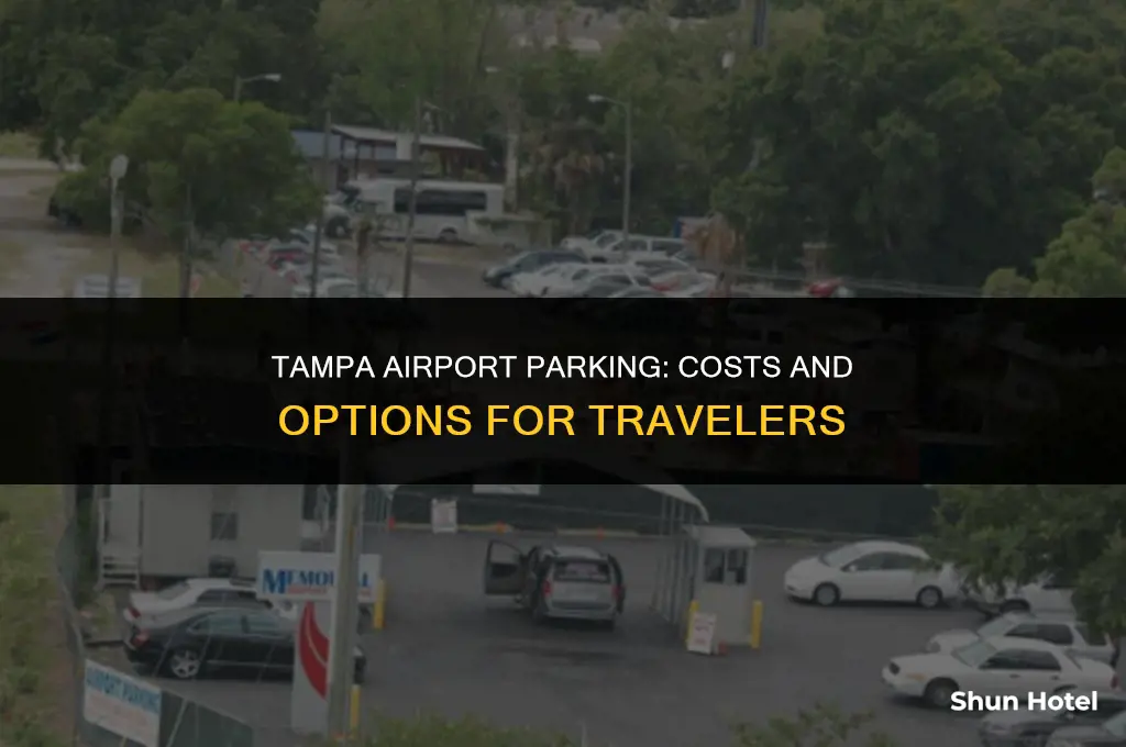 how much is airport parking tampa
