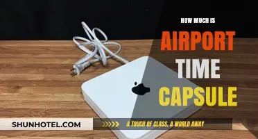 Unlocking the Cost Mystery of Airport Time Capsules