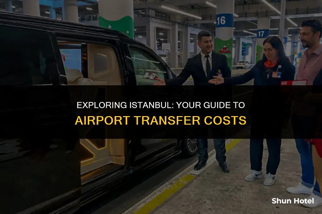 how much is airport transfer in istanbul
