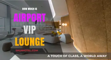 Exploring the Cost of Airport VIP Lounges: A Comprehensive Guide