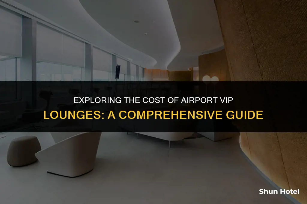 how much is airport vip lounge
