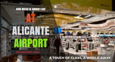 Amber Leaf Price Guide: Alicante Airport's Duty-Free Shopping Insights