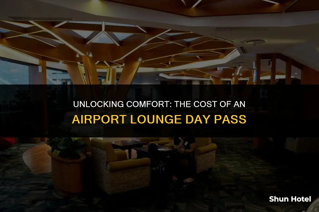 how much is an airport lounge day pass