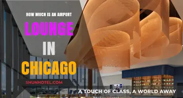 Exploring Chicago Airport Lounges: Costs and Comfort Compared