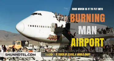 Flying to Burning Man: Airport Costs and Travel Tips