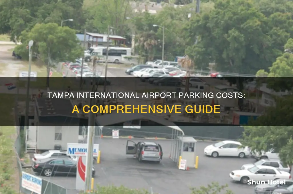 how much is it to park at tampa international airport