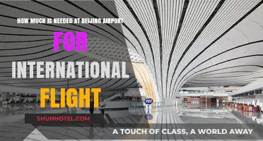 Beijing Airport International Flight: Essential Budget Tips for Travelers