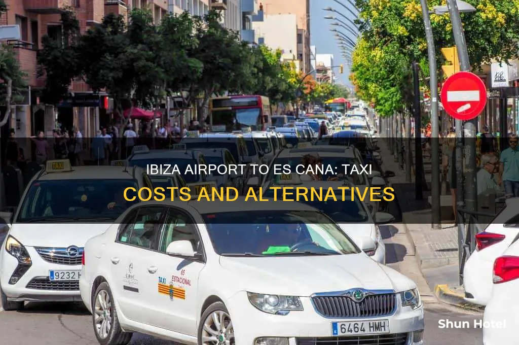 how much is taxi from ibiza airport to es cana