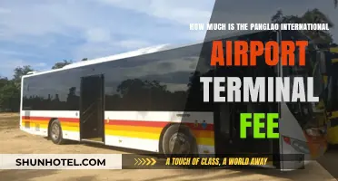 Panglao International Airport Terminal Fee: Costs and Payment Guide